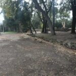 Pompeii - Small Group Tour (skip-the-line admission included) - Who Should Consider This Tour?