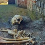 Pompeii: Tour with Archaeologist Guide & Skip-the-Line Entry - Practical Details and Value