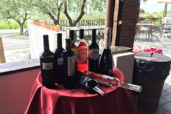 Pompeii-Vesuvius-Wine tour from Sorrento, licensed guide included - The Sum Up
