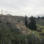 Pompeii Wine Tasting Tour from Positano - Practical Details and What It Means for You