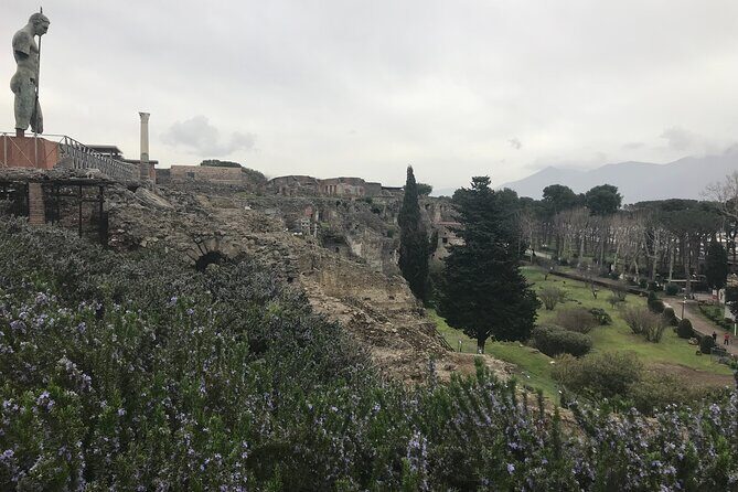 Pompeii Wine Tasting Tour from Positano - Practical Details and What It Means for You