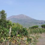 Pompeii & Wine Tour from Sorrento (tickets & lunch not included) - Final Thoughts