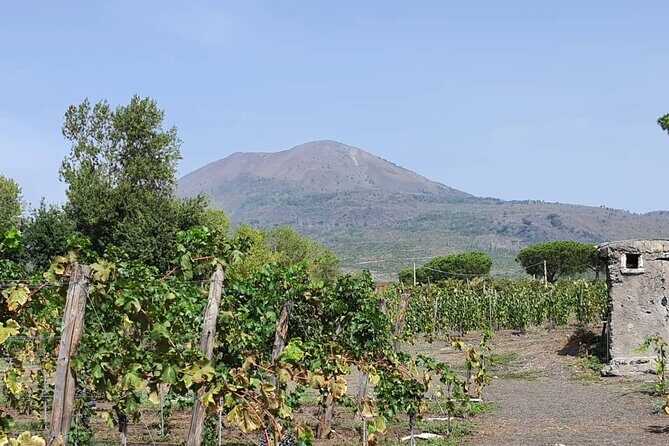 Pompeii & Wine Tour from Sorrento (tickets & lunch not included) - Final Thoughts