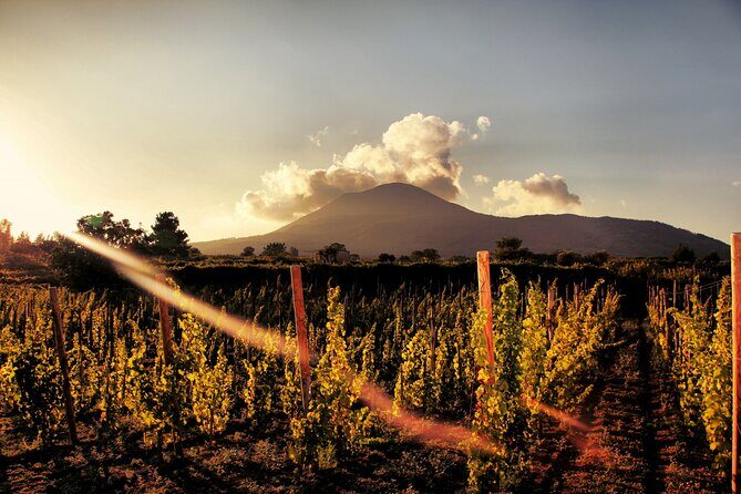 Pompeii with Wine Tasting and Lunch from Naples - Exploring Pompeii and Its Surroundings
