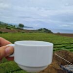 Ponta Delgada: Beauties of São Miguel Island Private Tour - Practical Details & Why They Matter