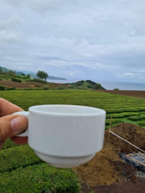 Ponta Delgada: Beauties of São Miguel Island Private Tour - Practical Details & Why They Matter