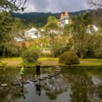 Ponta Delgada: Full-Day Van Tour to Furnas Valley - An In-Depth Look at the Tour Experience