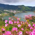 Ponta Delgada: Private Tour Sete Cidades Green e Blue Lakes - The Scenic Drive and Key Viewpoints