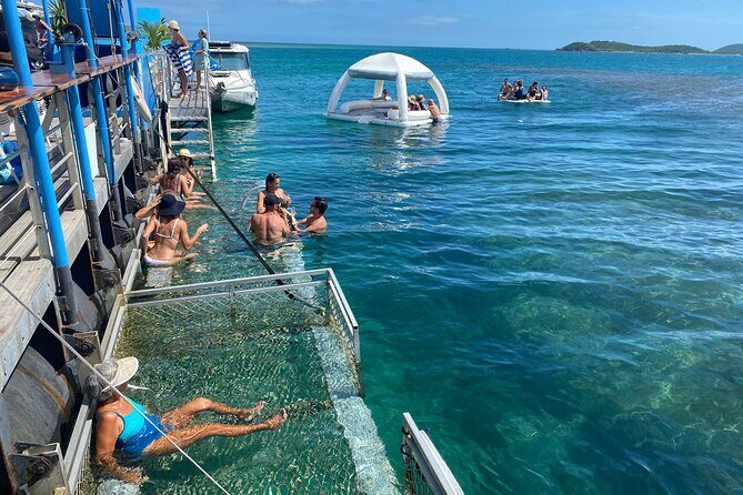 Ponton Day Trip SWIM with Turtles All meals included & Transport - A Closer Look at the Ponton Day Trip Experience