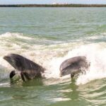 Pontoon Boat Rental Crystal River - Frequently Asked Questions