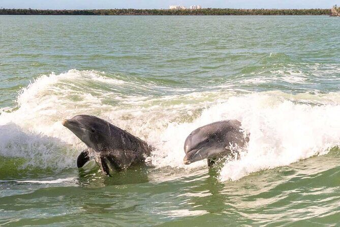 Pontoon Boat Rental Crystal River - Frequently Asked Questions