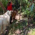 Pony Walking Adventure - Who Will Love This Tour?