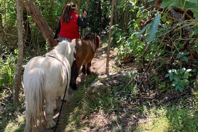 Pony Walking Adventure - Who Will Love This Tour?