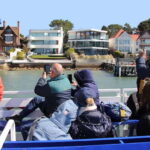 Poole: Harbour and Islands Circular Cruise - The Sum Up: Who Should Consider This Cruise?