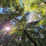 *Popular Tour* - Bay of Islands: Nature Adventure Tour - Overall Value and Experience