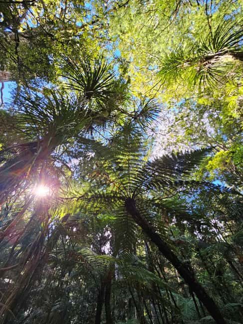 *Popular Tour* - Bay of Islands: Nature Adventure Tour - Overall Value and Experience