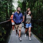 Port Douglas: Afternoon Daintree Tour w/ Wildlife Cruise - Exploring the Daintree in Half a Day