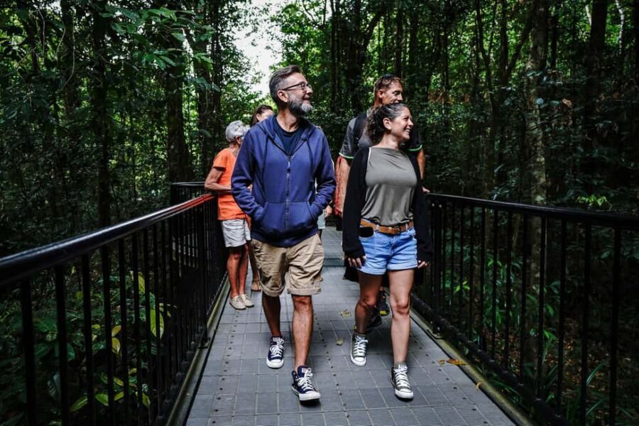 Port Douglas: Afternoon Daintree Tour w/ Wildlife Cruise - Exploring the Daintree in Half a Day