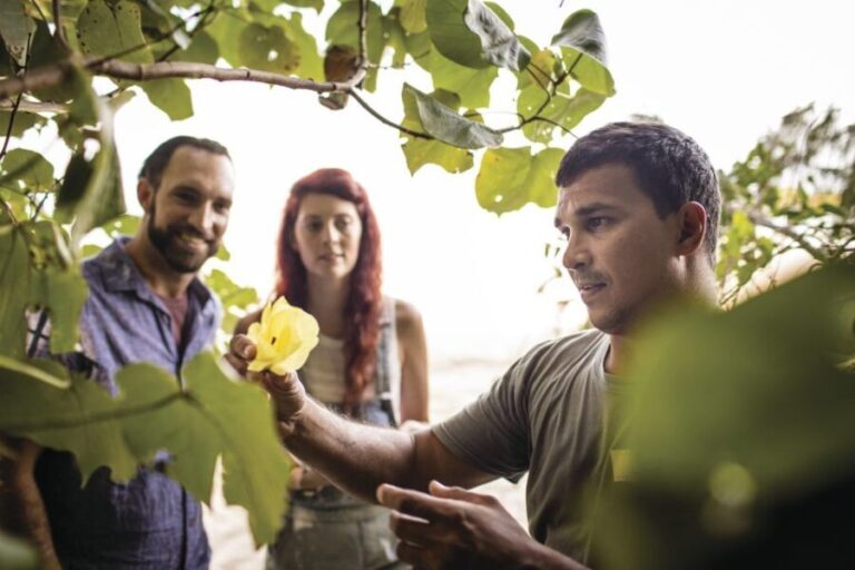 Port Douglas: Daintree Cultural Tour with Hotel Pickup - What Could Be Better?