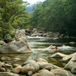 Port Douglas Daintree National Park Boutique Full-Day Tour - Transportation & Logistics