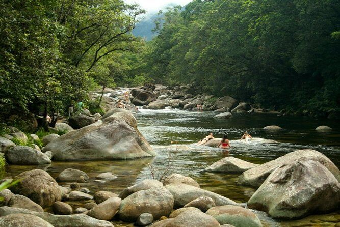 Port Douglas Daintree National Park Boutique Full-Day Tour - Transportation & Logistics