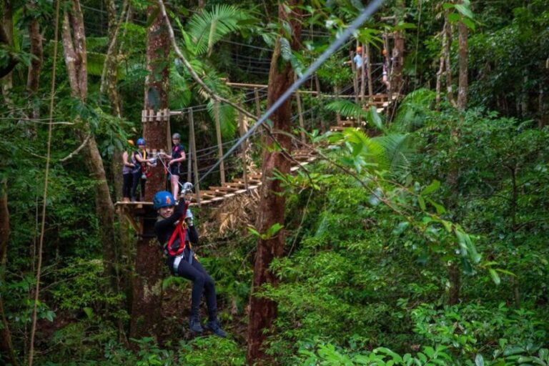 Port Douglas: Daintree National Park Tour, Cruise, & Zipline - A Deep Dive into the Daintree Experience