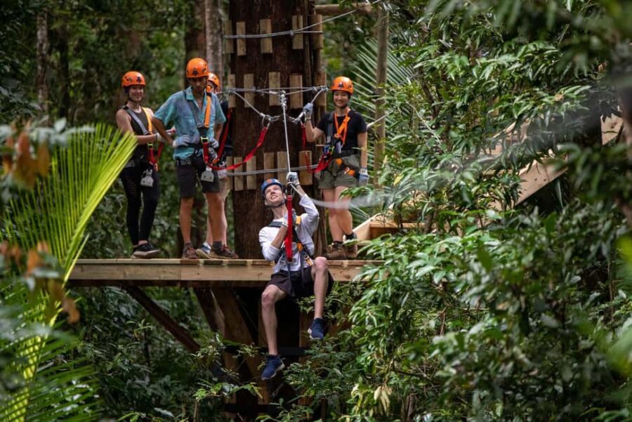 Port Douglas: Daintree Rainforest Canopy Ziplining Tour - FAQ