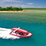 Port Douglas: Half-Day Low Island and Lagoon Snorkeling Tour - What’s Included and What to Bring
