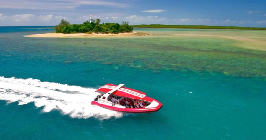 Port Douglas: Half-Day Low Island and Lagoon Snorkeling Tour - What’s Included and What to Bring