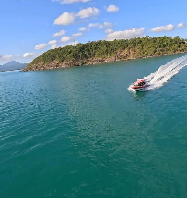 Port Douglas: Half Day Outer Reef Snorkelling Tour - Real Traveler Perspectives