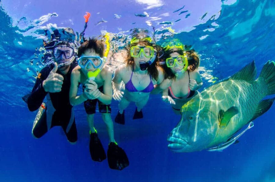 Port Douglas: Just 12 Passengers Guided Snorkel Reef Cruise - The Journey to the Reef: Scenic Coastal Cruising