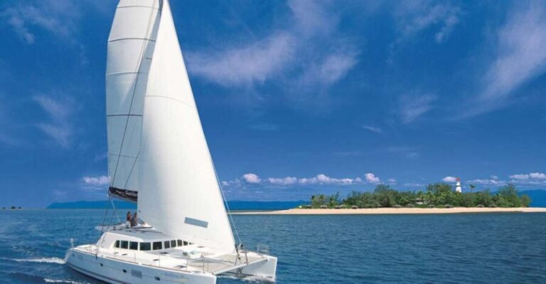 Port Douglas: Low Isles Afternoon Cruise on Luxury Catamaran - Snorkeling and Guided Tours: Engaging with Marine Life