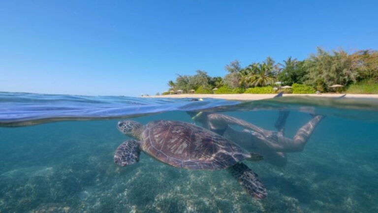Port Douglas: Low Isles Glass Bottom Boat & Snorkeling Tour - Practical Details and Considerations