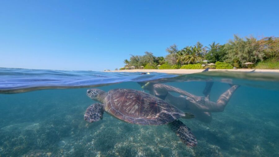Port Douglas: Low Isles Glass Bottom Boat & Snorkeling Tour
