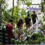 Port Douglas: Morning Daintree Tour w/ Wildlife Cruise - Why Choose This Tour?