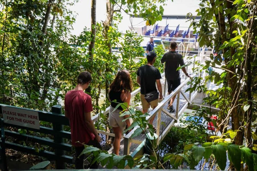 Port Douglas: Morning Daintree Tour w/ Wildlife Cruise - Why Choose This Tour?