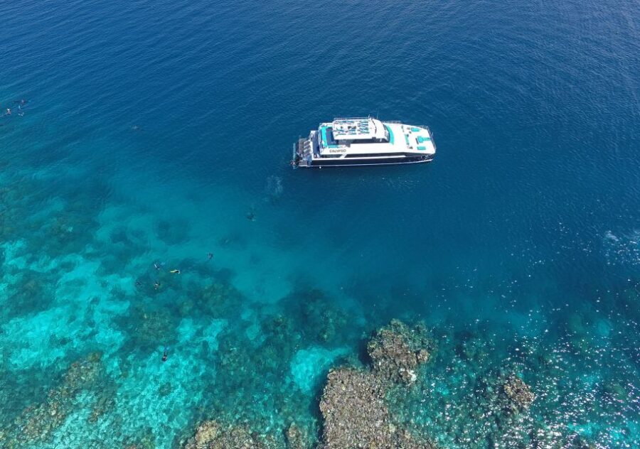 Port Douglas: Outer Barrier Reef Snorkel and Dive Options