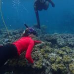 Port Douglas: Outer Great Barrier Reef Snorkeling Cruise - The Itinerary in Detail: What Makes Each Step Special