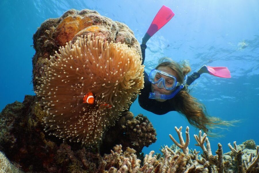 Port Douglas: Quicksilver Outer Barrier Reef Full-Day Cruise - FAQs