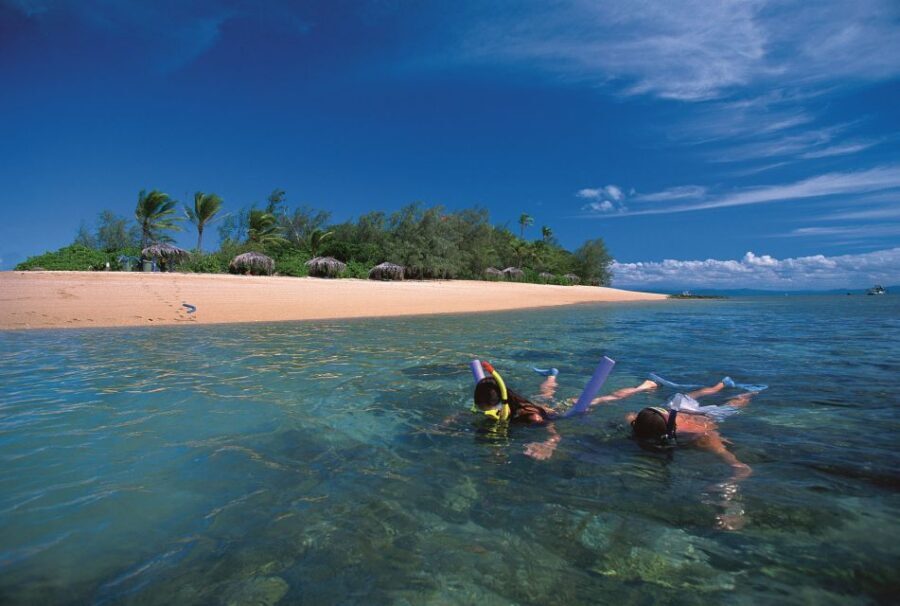 Port Douglas: Reef & Low Isles Cruise on Luxury Catamaran - Why This Tour Offers Great Value