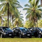 Port Douglas to Cairns Shuttle Services - Deep Dive: The Itinerary and Experience