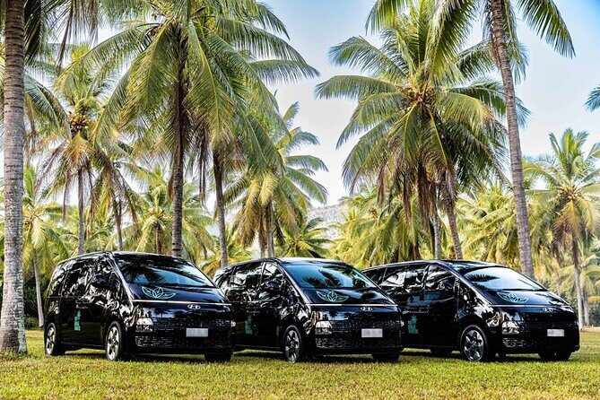 Port Douglas to Cairns Shuttle Services - Deep Dive: The Itinerary and Experience