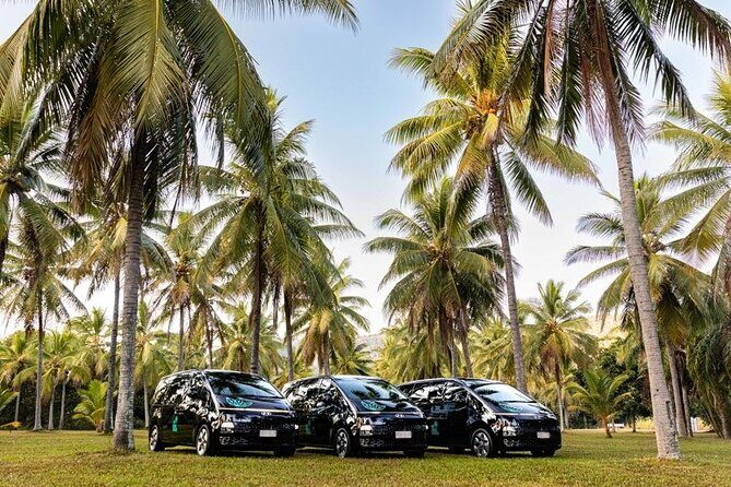 Port Douglas to/from Cairns RETURN TRIP Private Transfer 6 pax - Who Should Consider This Transfer?