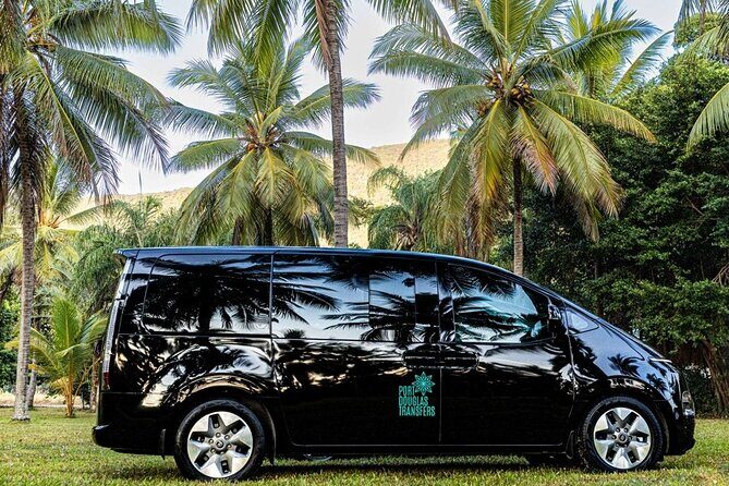 Port Douglas to Palm Cove ONE WAY Private Transfer 6 Pax - Who Will Get the Most Out of This?