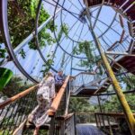 Port Douglas: Wildlife Habitat Entrance Ticket - Why This Experience Works