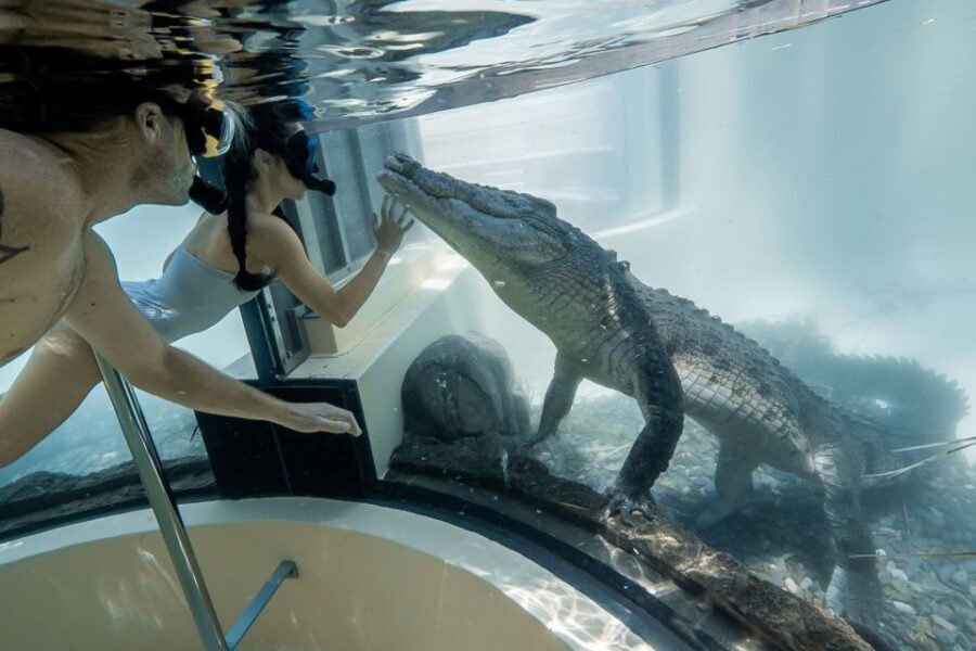 Port Douglas: Wildlife Habitat Swim with Crocodiles - The Sum Up