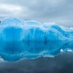 Port Homer Day Tour Wilderness, Wildlife and Beach Experience - Pricing and Value: Is It Worth It?