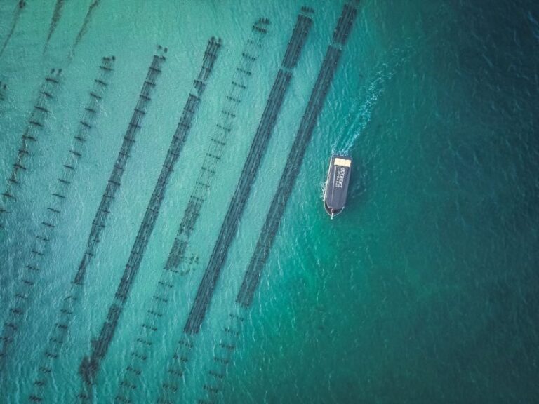 Port Lincoln: Coffin Bay Seafood, Wine, and Nature Day Trip - Who Should Consider This Tour?