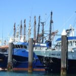 Port Lincoln Day Tour: Eyre Peninsula - Who Would Love This Tour?