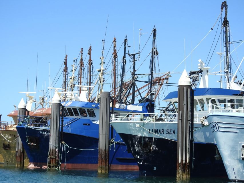 Port Lincoln Day Tour: Eyre Peninsula - Who Would Love This Tour?